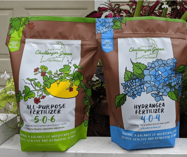 Asset Creation - Marketing Materials