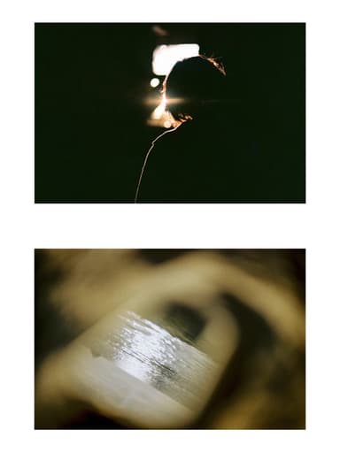 A Flower is not a Flower