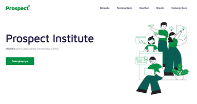 Website Development & Maintenance